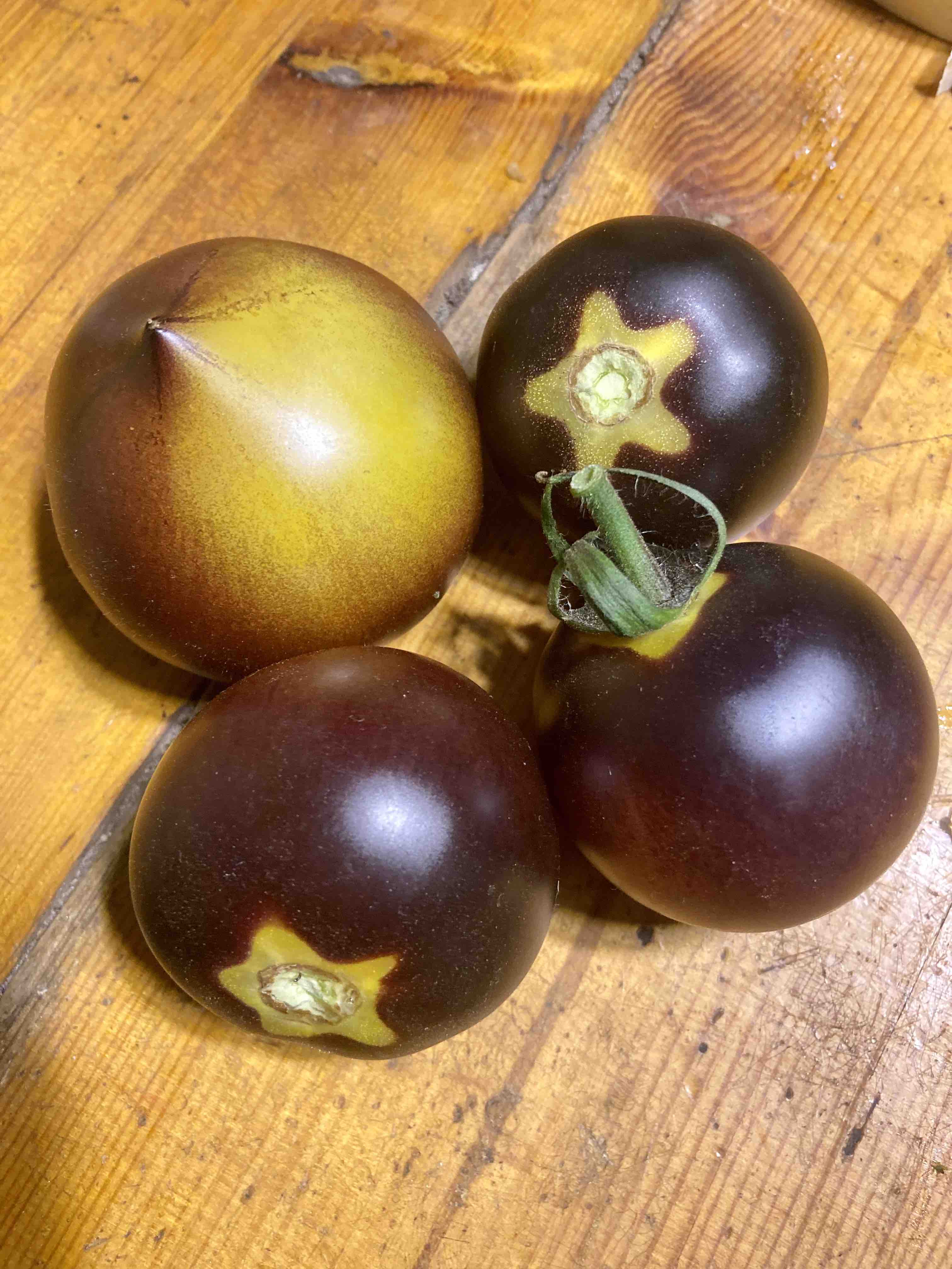 BELLE COEUR (H 34 GELB)