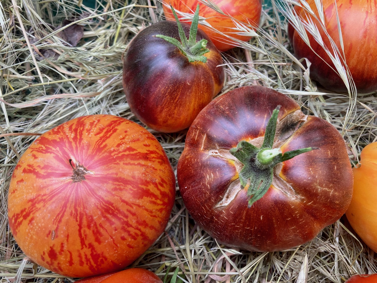 Strange Love  - Depeche Mode (Saatgut)